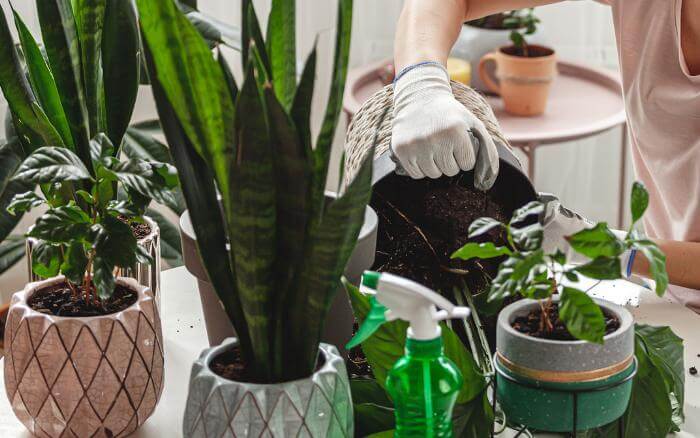 Vasos de polietileno são leves e podem ser usados para o cultivo de plantas em áreas internas e externas. vasos-de-polietileno-com-tamanhos-texturas-e-cores-diferentes-sobre-um-balcao-e-uma-pessoa-plantando-neles