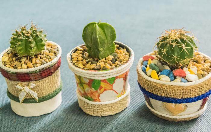 Experimente fazer seus próprios vasos de tecido, recicle e decore sua casa com personalidade e exclusividade. plantas-suculentas-e-cactos-crescendo-em-vasos-de-tecido