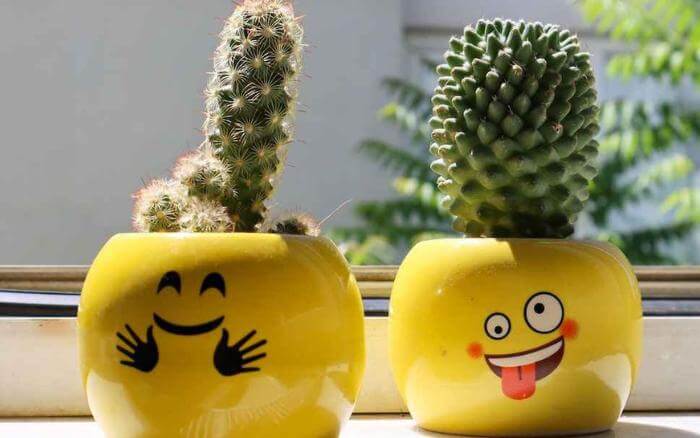 O cachepot e um tipo de vaso decorativo em que não se planta, usa-se para pôr o vaso com a planta dentro dele. cachepot-de-ceramica-esmaltada-amarelo-com-rosto-feliz-desenhado-com-vaso-pequeno-de-cacto-dentro