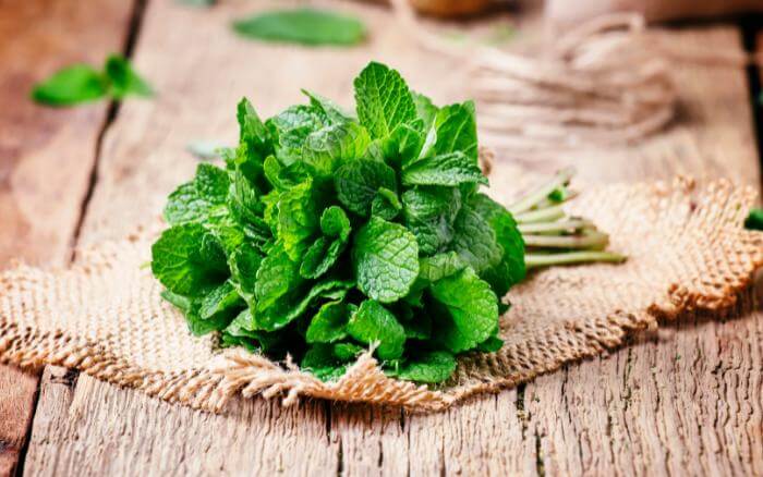 ramos-frescos-de-hortela