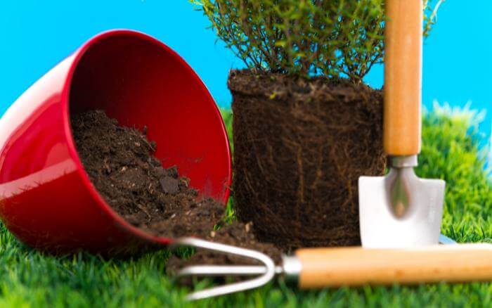 pa-escarificador-de-solo-e-vaso-de-planta-sobre-gramado