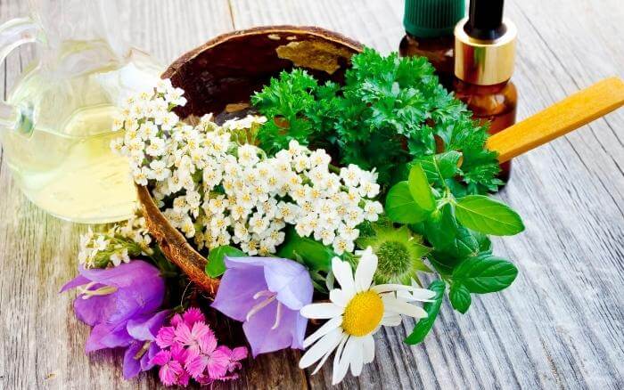 Camomila e outras flores de uso medicinal ao lado de medicamentos fitoterapêuticos.