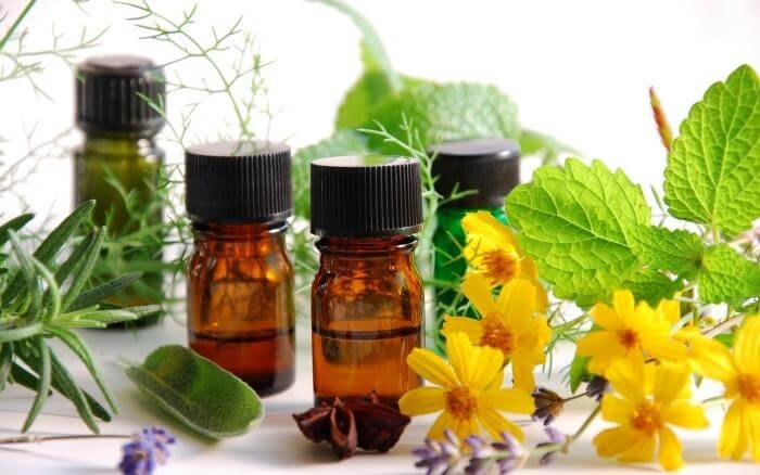 Plantas medicinais como alecrim, erva-doce e hortelã sobre uma mesa ao lado de frascos de medicamentos fitoterápicos.