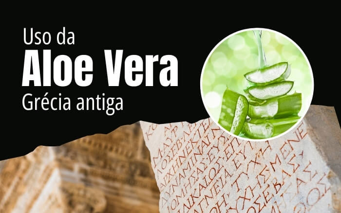 O uso medicinal da Aloe Vera no tratamento de inflamações, infecções bacterianas, proteção da flora intestinal entre outros, já era conhecido na Grécia antiga por grandes nomes como Hipócrates, Galeno e Dioscórides. Gel de Aloe Vera em destaque sobre escrita da Grécia antiga, fazendo alusão ao fato de que os grandes nomes da medicina grega Hipócrates, Galeno e Dioscórides, já utilizavam a planta para fins curativos.