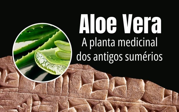 As propriedades curativas e cicatrizantes da Aloe Vera já eram conhecidas pelos sumérios em 2.250a.C. Propriedades benéficas e usos medicinais da Aloe Vera retratados nas Tábuas de Argila de Nippur.