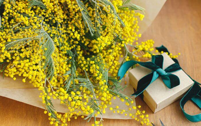 Buque-de-flores-mimosas-amarelas-para-presente