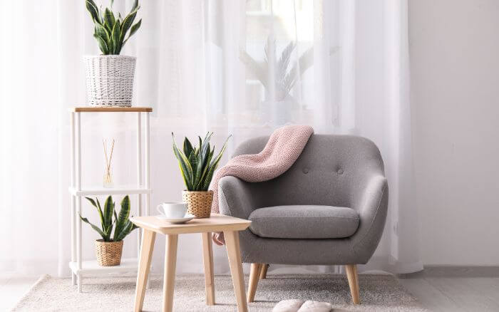 A espada-de-são-jorge é capaz de remover diversos poluentes dos ambientes internos. espada-de-sao-jorge-planta-capaz-de-remover-agentes-nocivos-do-ar-decorando-sala-de-estar