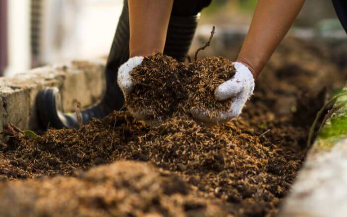 Preparação do Solo para Horta Caseira Solo sendo preparado com composto orgânico para uma horta caseira produtiva e saudável.